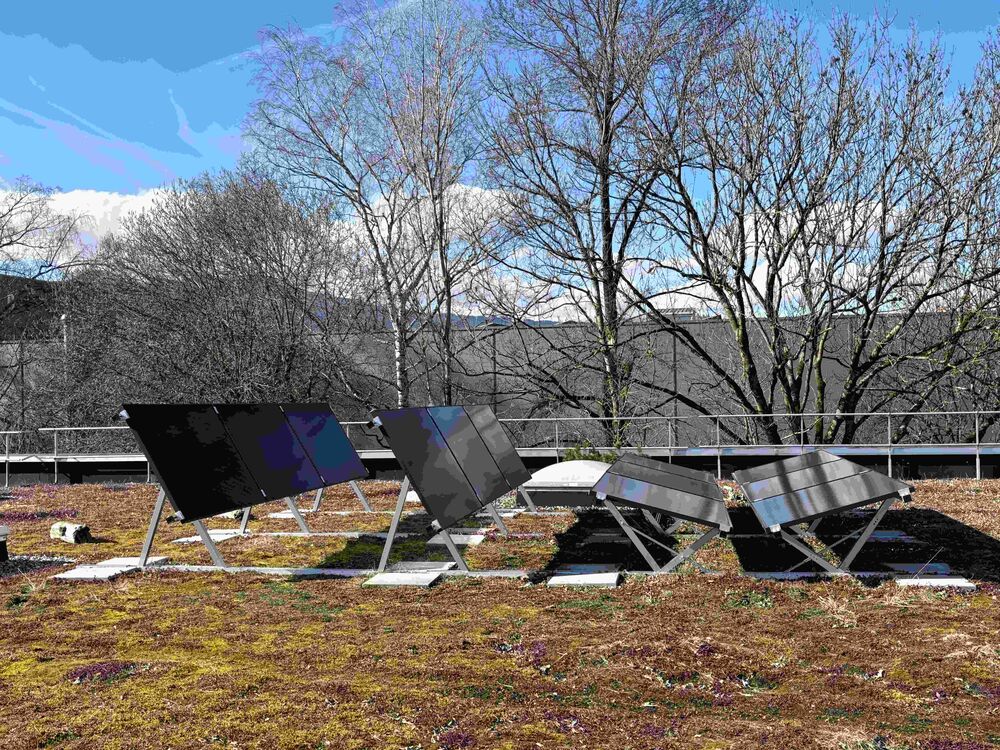 Bild 2a: Das Aufständerungssystem «Contec.greenlight on top» wurde speziell für die Nachrüstung von Solaranlagen auf bestehenden Gründächern entwickelt. (Bilder: Daniela Hochradl, Contec, SFG)